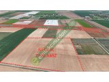 KARACA'DAN Gödenede Yeni Çevreyoluna 100 Metre 23.014 M2 Müstakil Tarla
